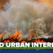 Wildland Urban Interface Fire