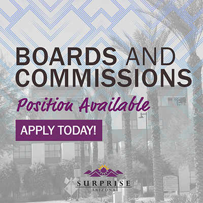 Boards and Commission Positions Available